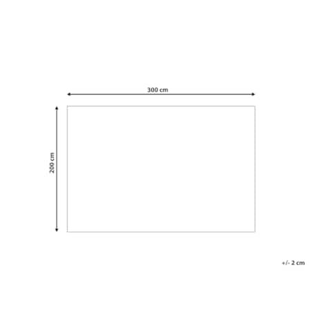 Dywan Shaggy 200 x 300 cm biało-szary MASIS