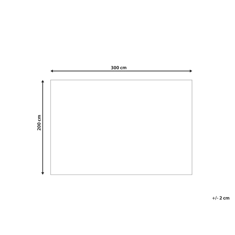 Dywan Shaggy 200 x 300 cm biało-szary MASIS