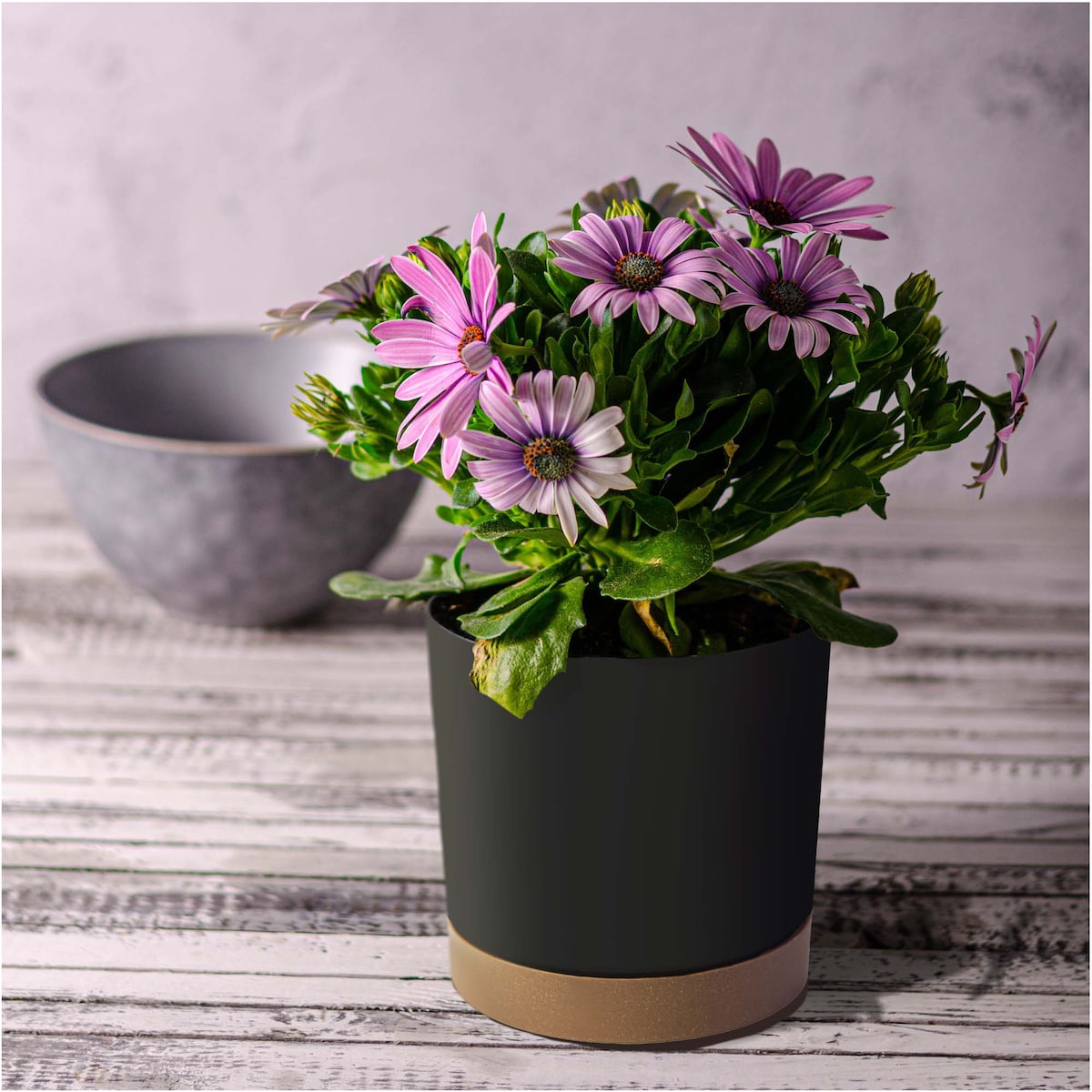 Doniczka Ogrodowa 23,9Cm Z Podstawką Do Domu Donica Plastikowa Antracyt