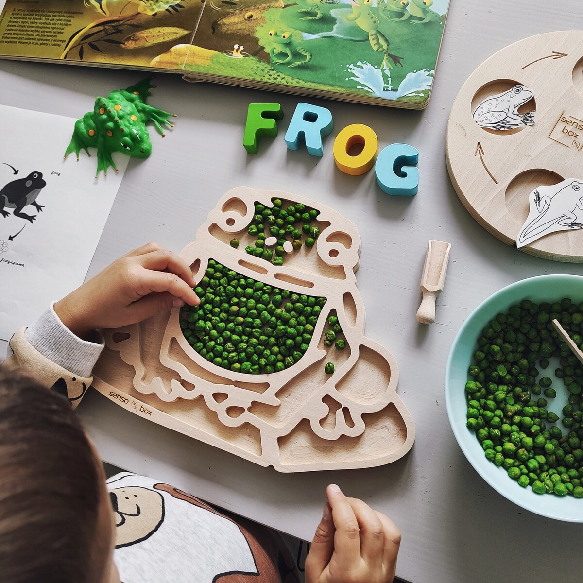 Drewniana wysypywanka sensoryczna Żaba