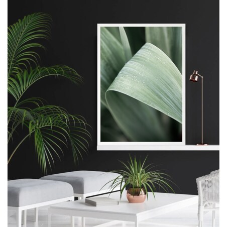 Poster Story, Plakat, Obraz - Duży Zielony Liść, wymiary 50 x 70 cm