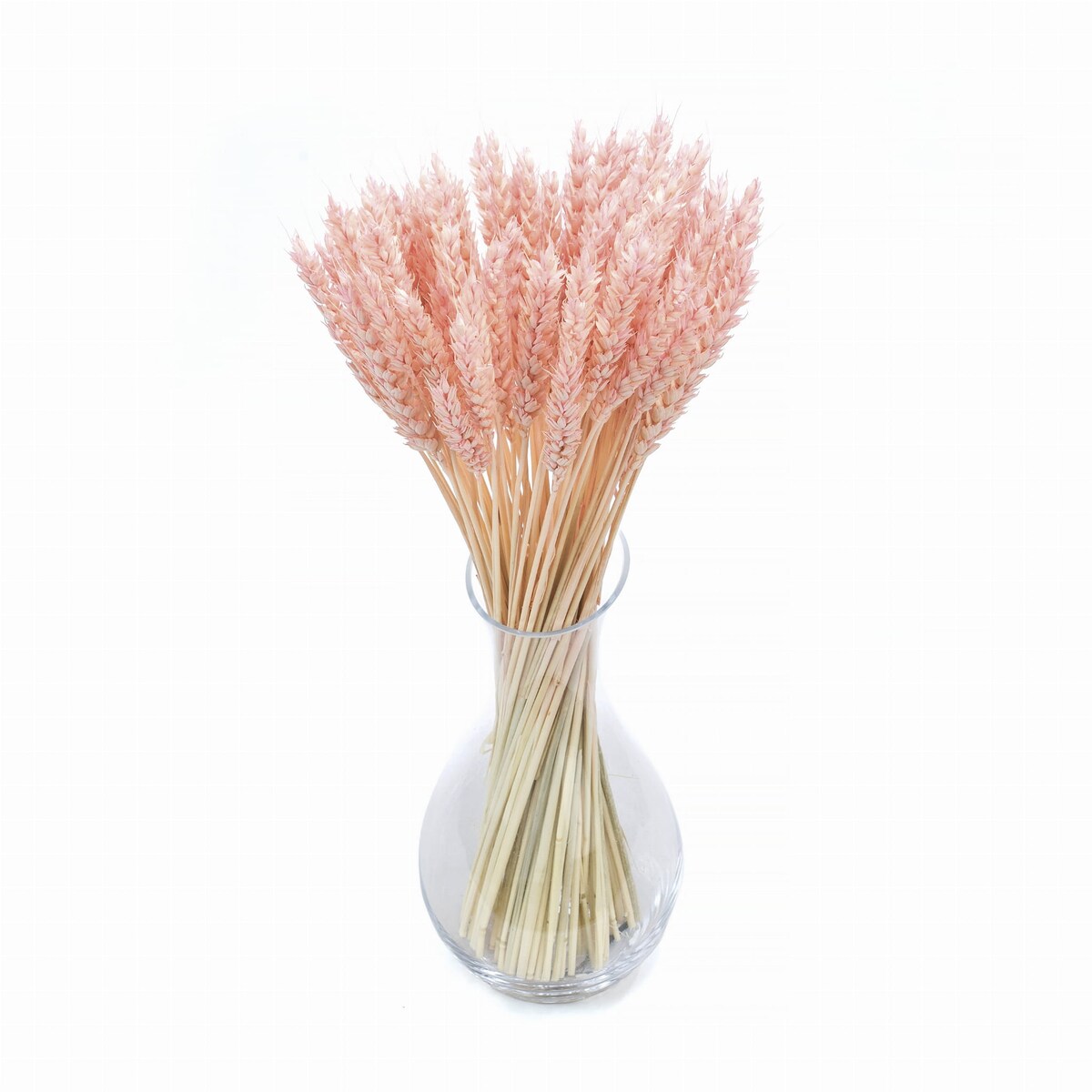 Suszona Pszenica Jasnoróżowa