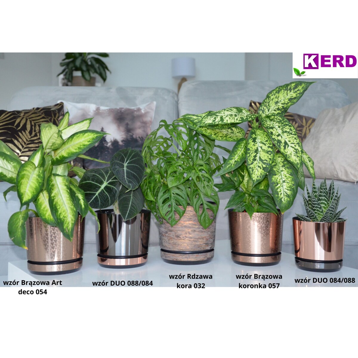 16 cm piękny wzór BRĄZOWA KORONKA kobieca motyw artystyczny elegancka glamour ekskluzywna wyrafinowana