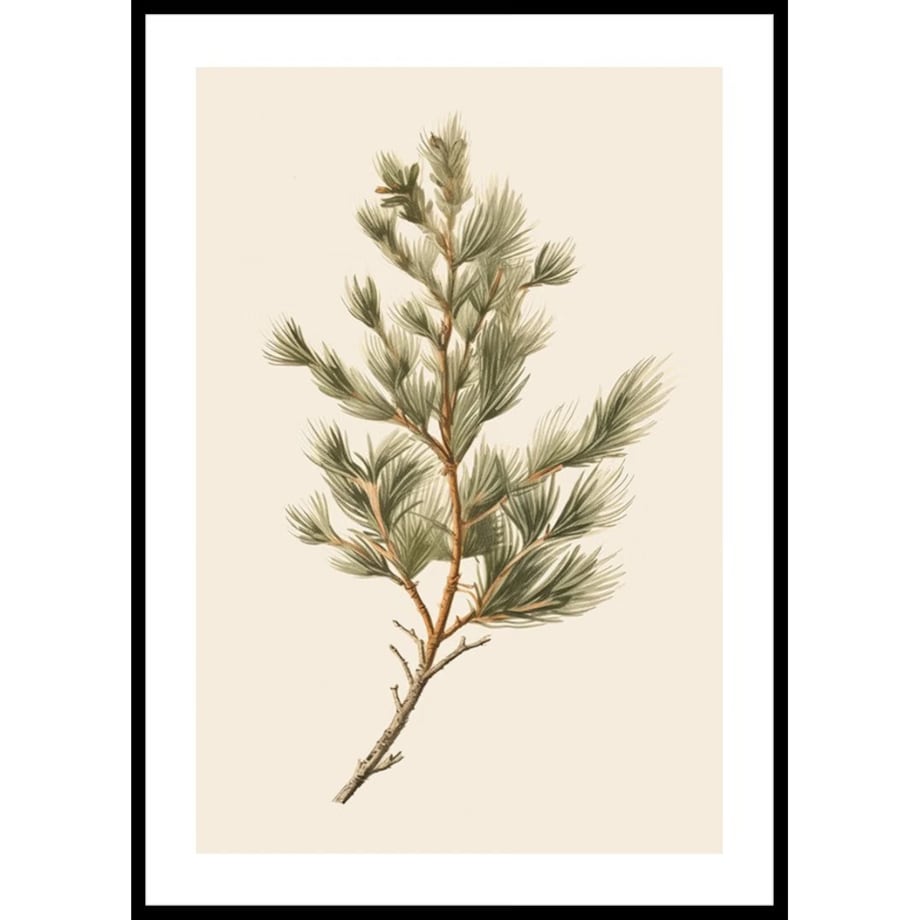 Poster Story, Plakat, Obraz - Gałązka Sosny na Beżowym Tle, wymiary 70 x 100 cm