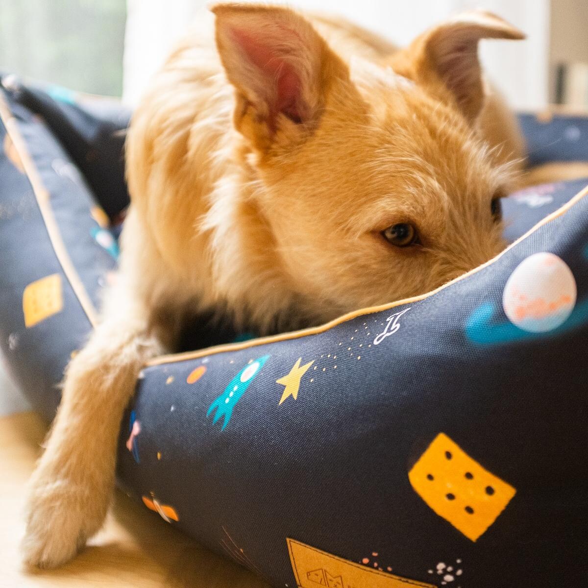 Kanapa ortopedyczna "I need space" - Rozmiar: XS