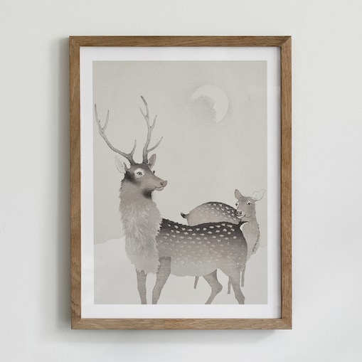 Plakat Jeleń i sarna 30x40cm