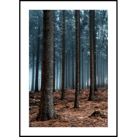 Poster Story, Plakat, Obraz - Tajemniczy Las, wymiary 50 x 70 cm
