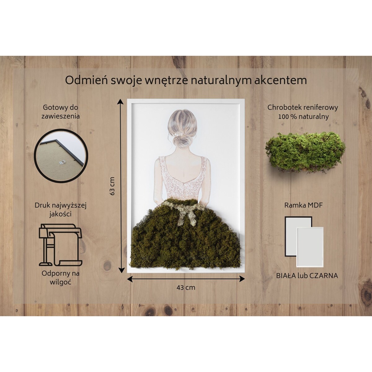 Obraz Baletnica - mech chrobotek w białej ramie 40x60cm