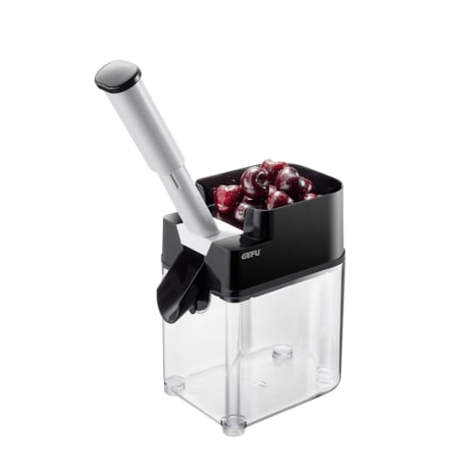 Drylownica do wiśni CORER