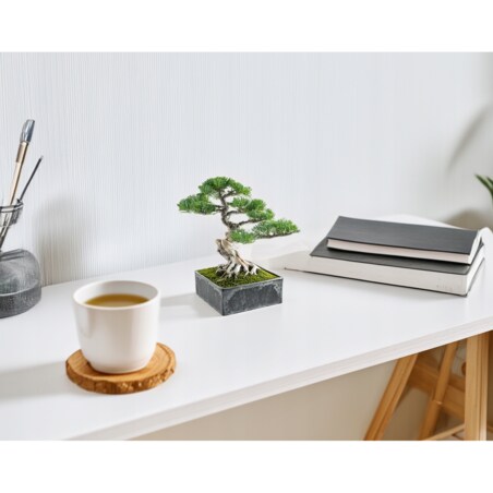 DONICZKA NA BONSAI PŁASKA 15x15 KWADRATOWA PŁYTKA NA PARAPET SZARA EKO