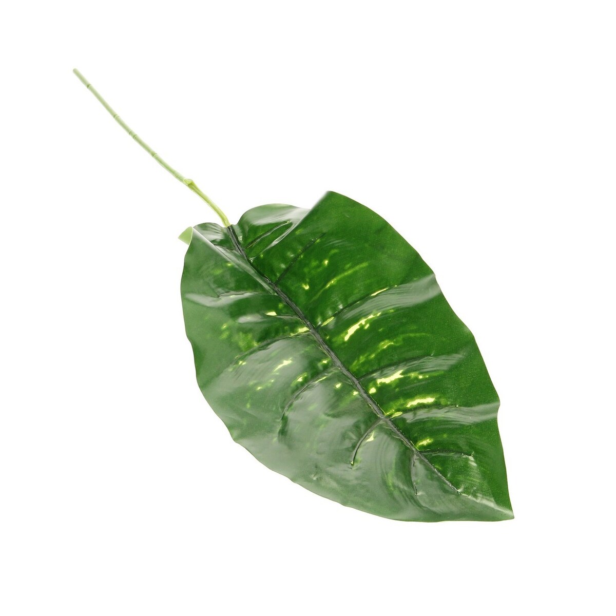 Liść Bananowca, 18 x 35 x 67 cm