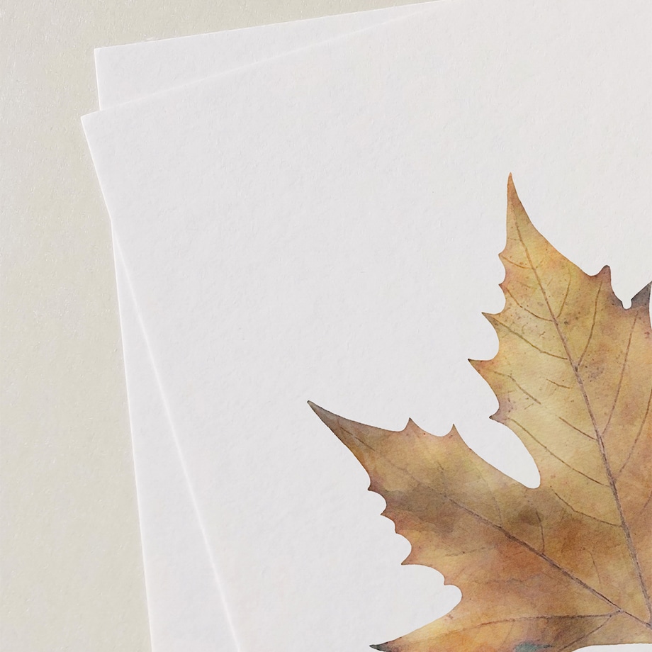 Plakat Liść klonu 30x40cm