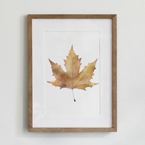 Plakat Liść klonu 21x30cm