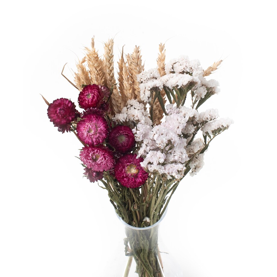 Zestaw suszonych kwiatów Cielo roz. S - zatrwian, kocanka, pszenica