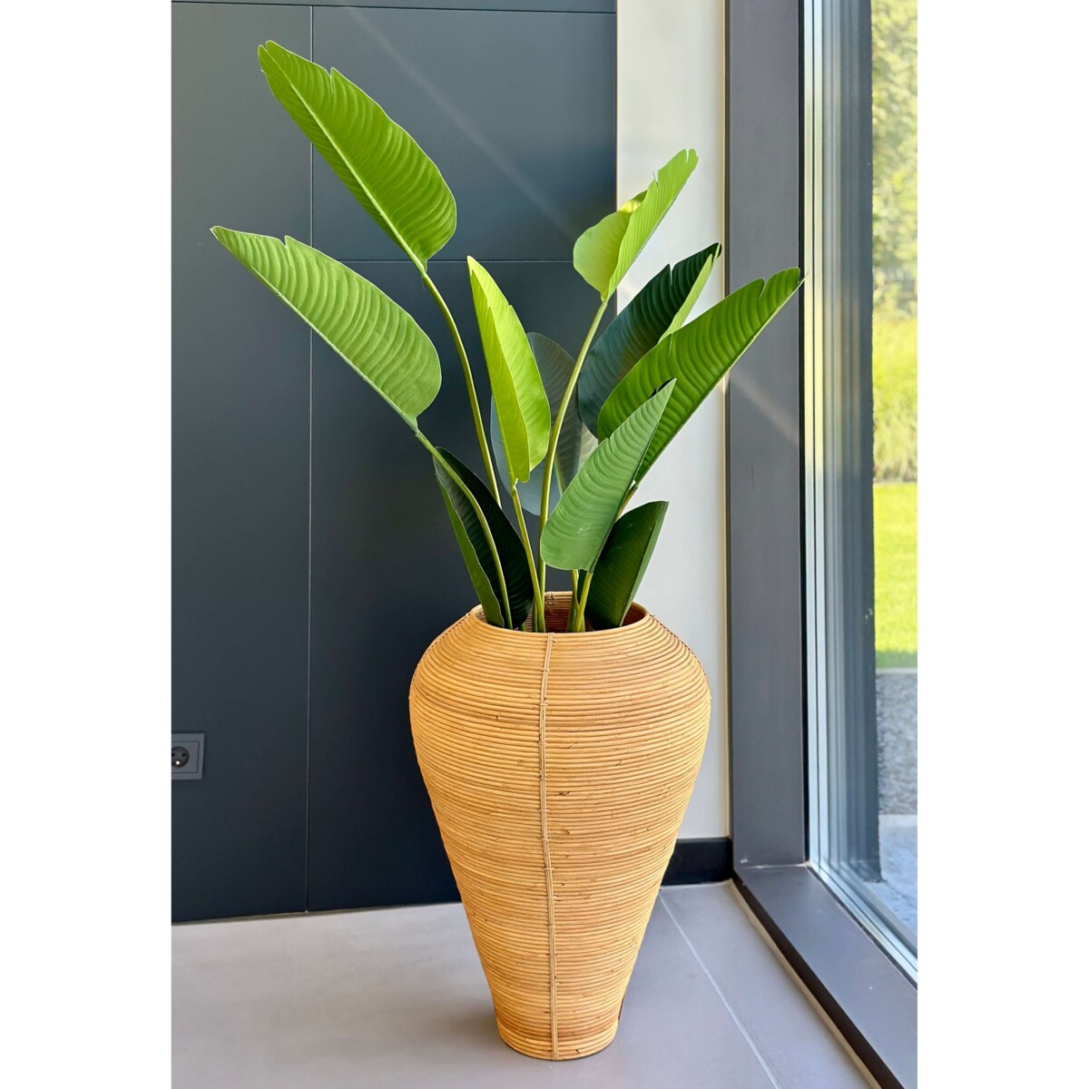 WAZON NICOLAS NATURALNY