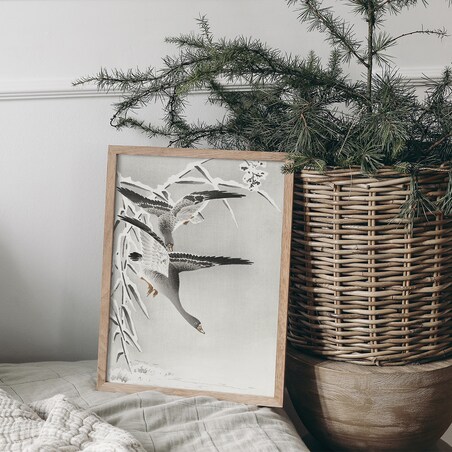 Plakat Gęsi 21x30cm