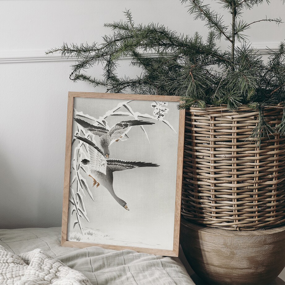 Plakat Gęsi 21x30cm