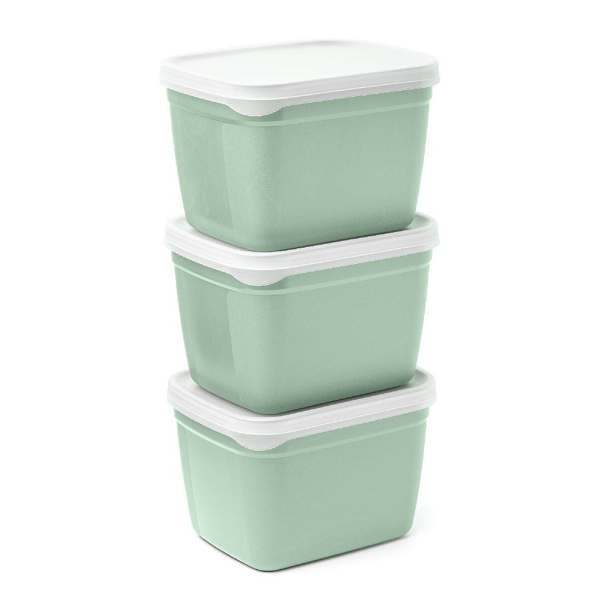 Amuse Pojemniki do zamrażarki Optifridge BIO 3x1.2L