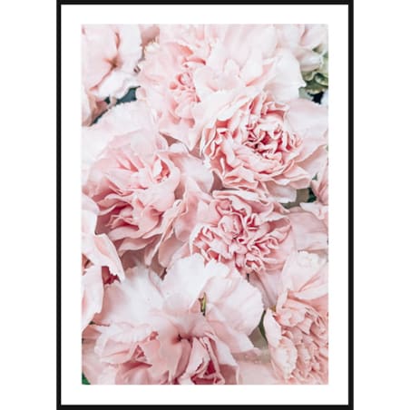 Poster Story, Plakat, Obraz - Pudrowe Piwonie, wymiary 70 x 100 cm