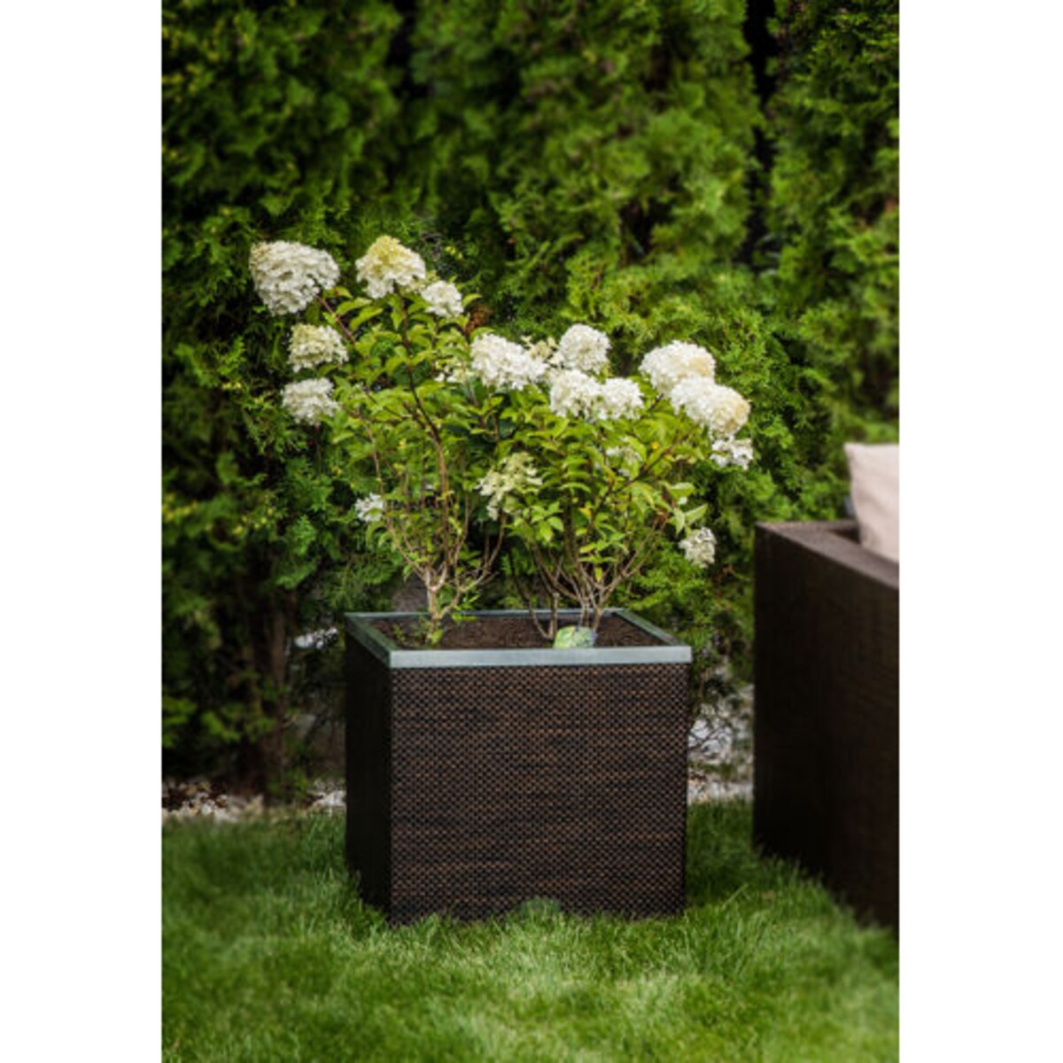 Donica samonawadniająca 50x50x43 miedziana - idealna dla Twojego ogrodu