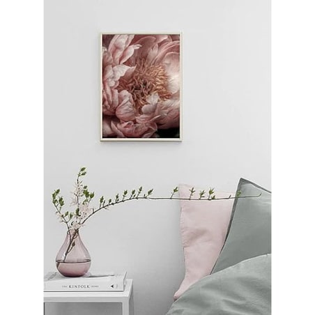 Poster Story, Plakat, Obraz - Różowa Piwonia, wymiary 21 x 30 cm