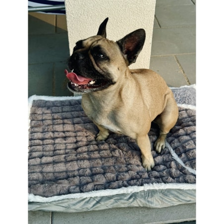 PLUSZOWE PROSTOKĄTNE LEGOWISKO kojec DLA PSA KOTA poduszka posłanie 70x50