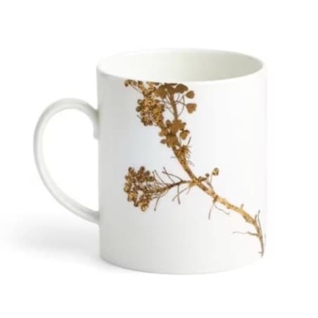 Kubek Vera Jardin Wedgwood