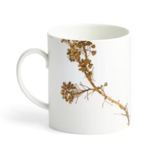 Kubek Vera Jardin Wedgwood