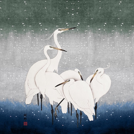 bawełniana poszewka na poduszkę - Białe żurawie 45x45 cm