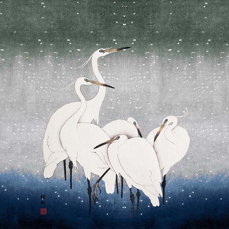 bawełniana poszewka na poduszkę - Białe żurawie 45x45 cm