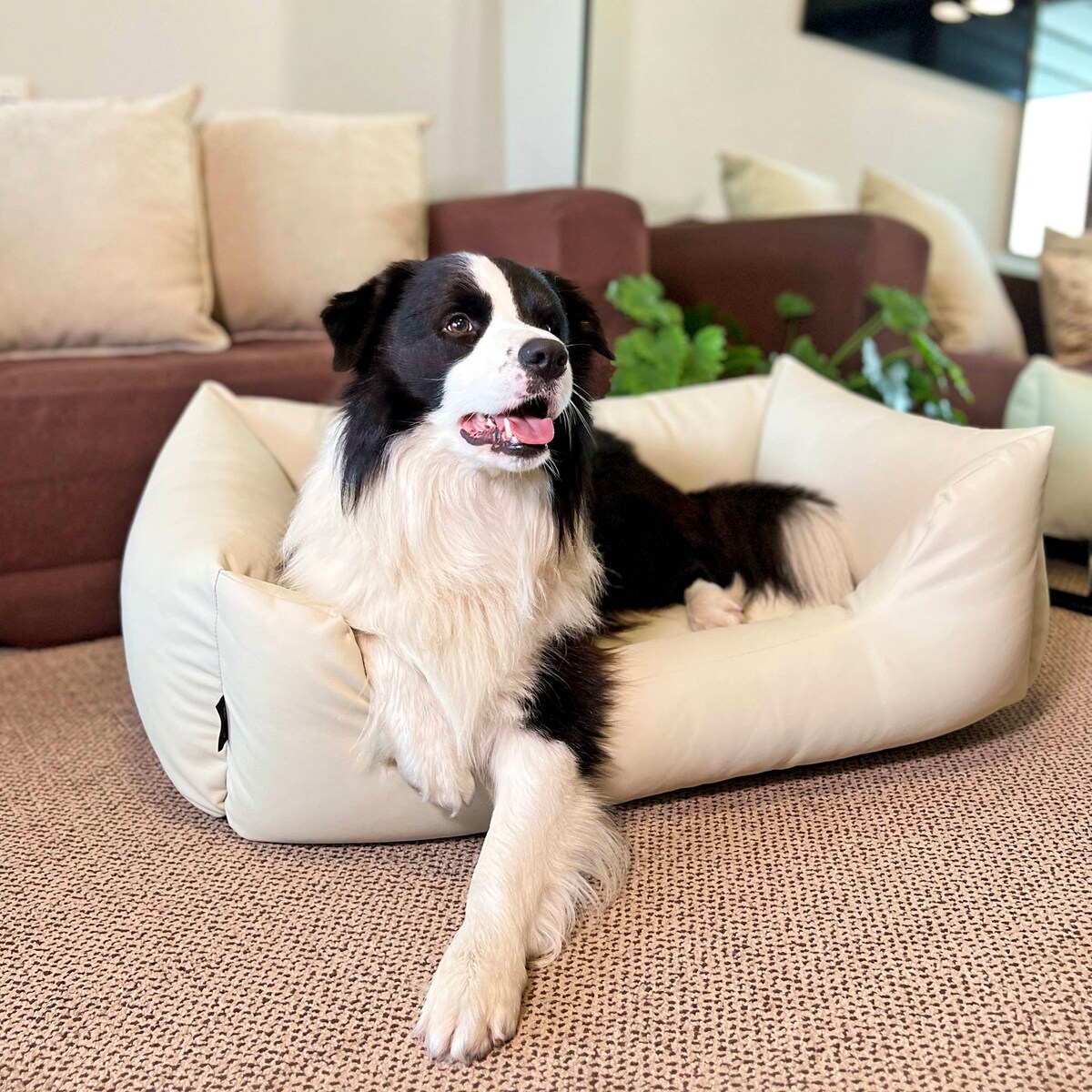 Legowisko dla psa z ekoskóry MARIO, 140x110 cm, Beż