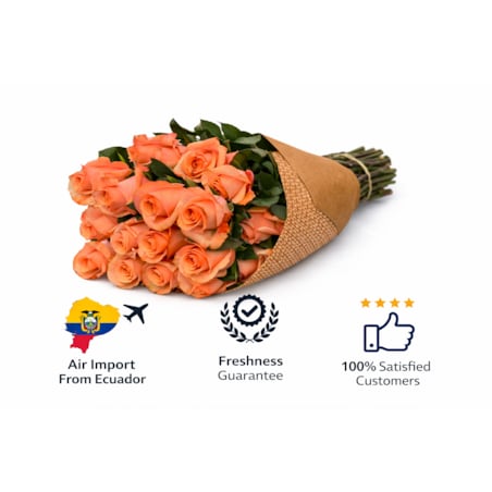 Bukiet róż Be Sweet – 25 sztuk, wysokość 40-45cm (Ekwador)