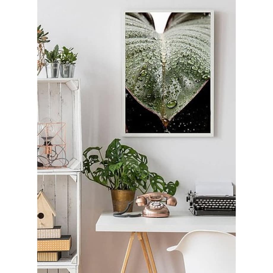 Poster Story, Plakat, Obraz - Krople Rosy, wymiary 42 x 60 cm