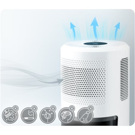 Osuszacz powietrza pochłaniacz wilgoci 60W timer led 353000 Berdsen