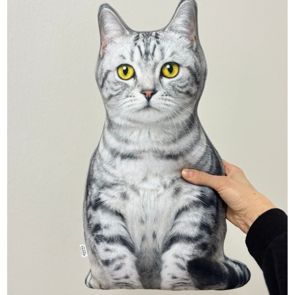 Poduszka dekoracyjna Kot domowy pręgowany srebrzysty jasny szary