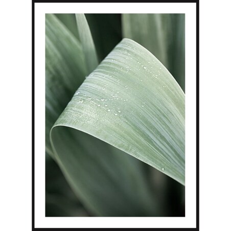 Poster Story, Plakat, Obraz - Duży Zielony Liść, wymiary 50 x 70 cm