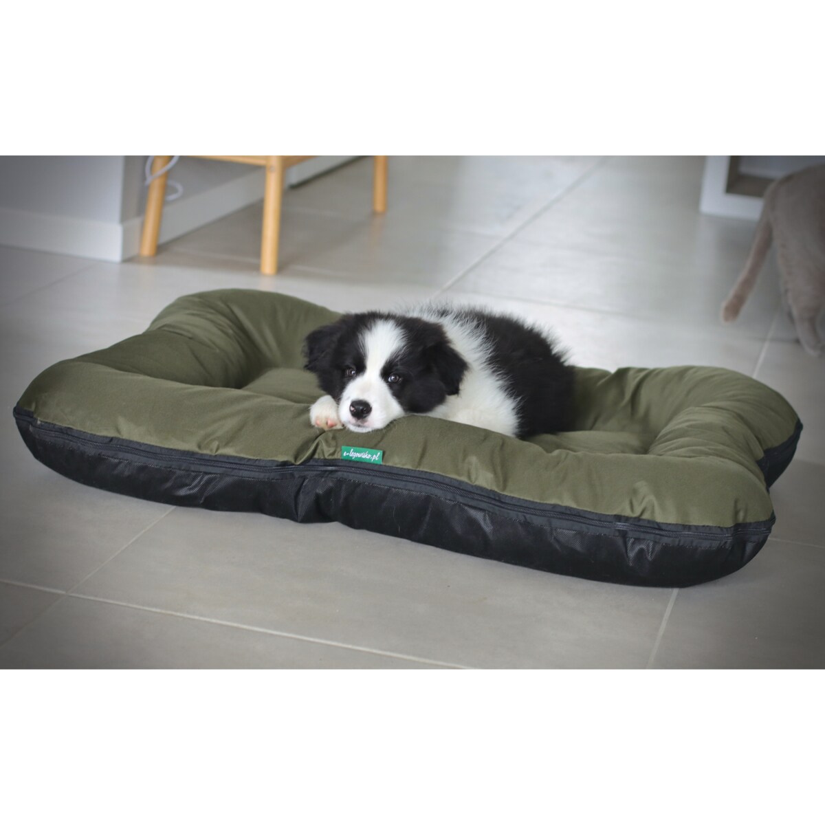 Wodoodporny materac dla psa ponton KLEO, 130x110 cm, Zielony