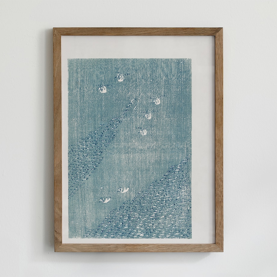 Plakat Wodne ptaki Tomoki 21x30cm