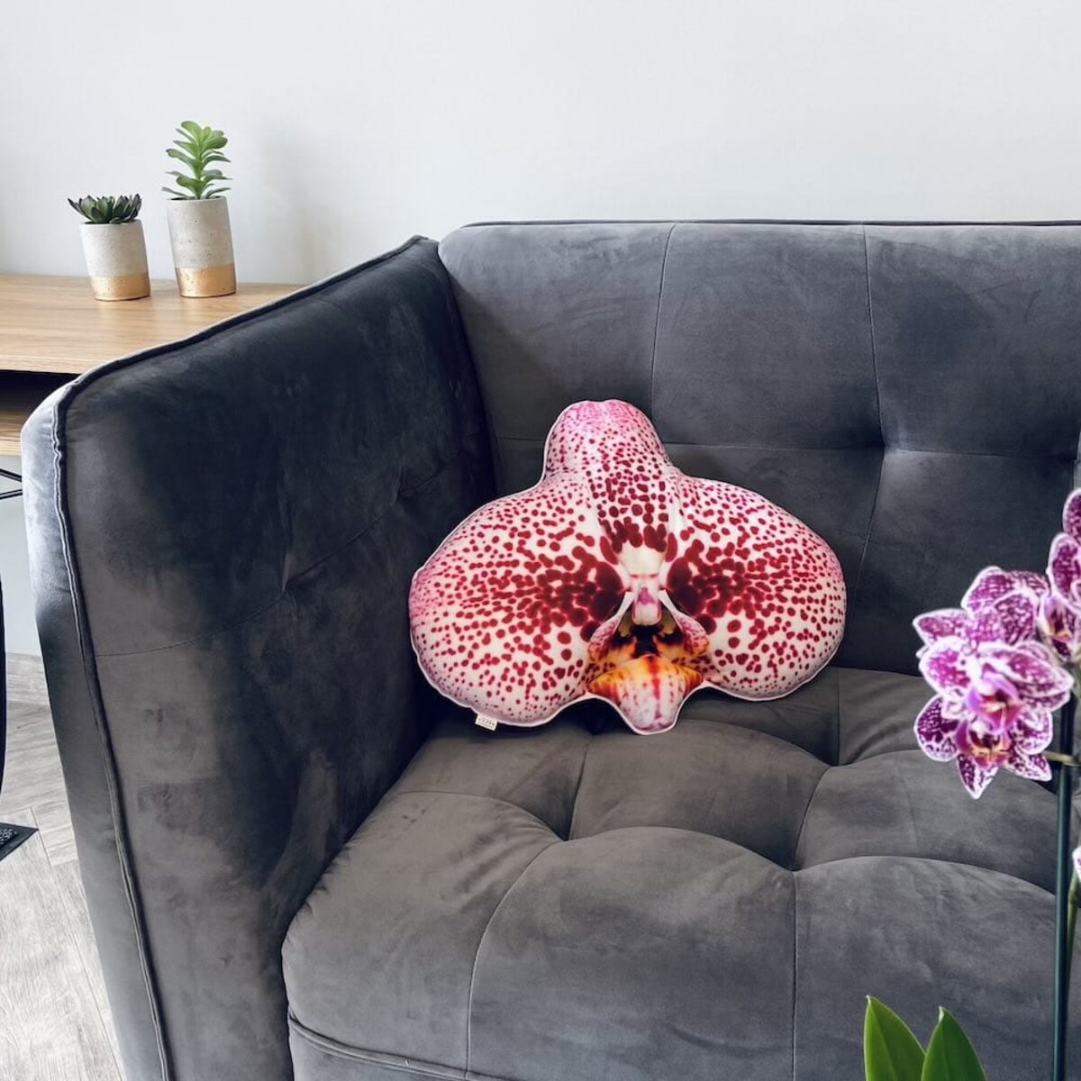 Poduszka duży Storczyk Orchidea Phalaenopsis