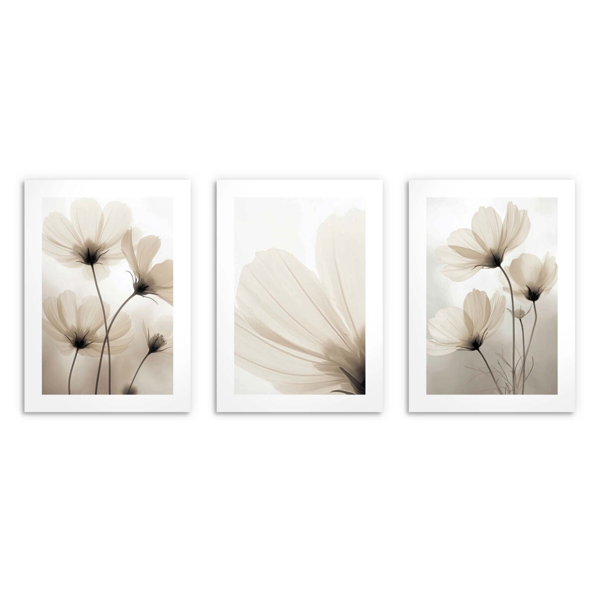 Dekoracyjne Plakaty na ścianę Ozdoba ścienna do salonu Beżowe Kwiaty