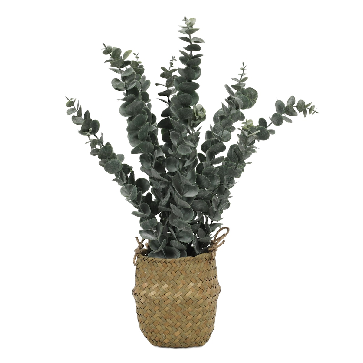Sztuczna roślina eukaliptus w koszyku, 50 cm
