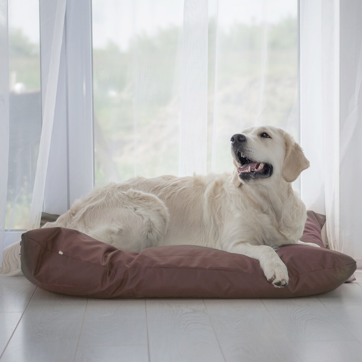 Wodoodporna poduszka dla psa ZOE, 120x100 cm, Brąz
