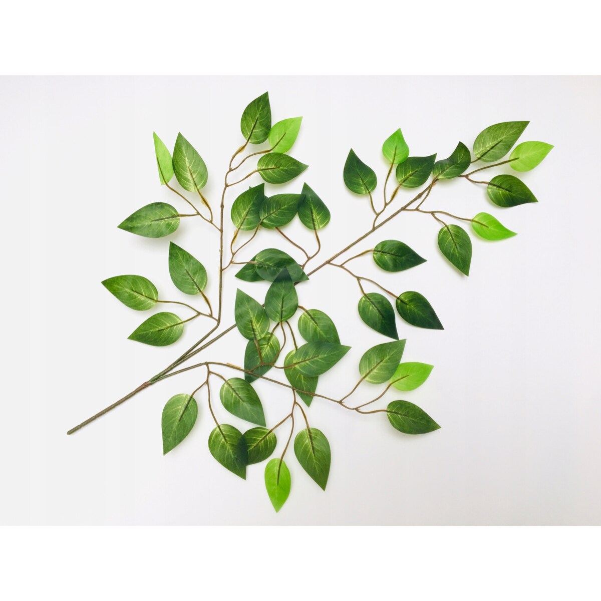 GAŁĄZKA FIKUS do stroiki bukiety dodatek LIŚĆ GUMOWANE DROBNE listki święta