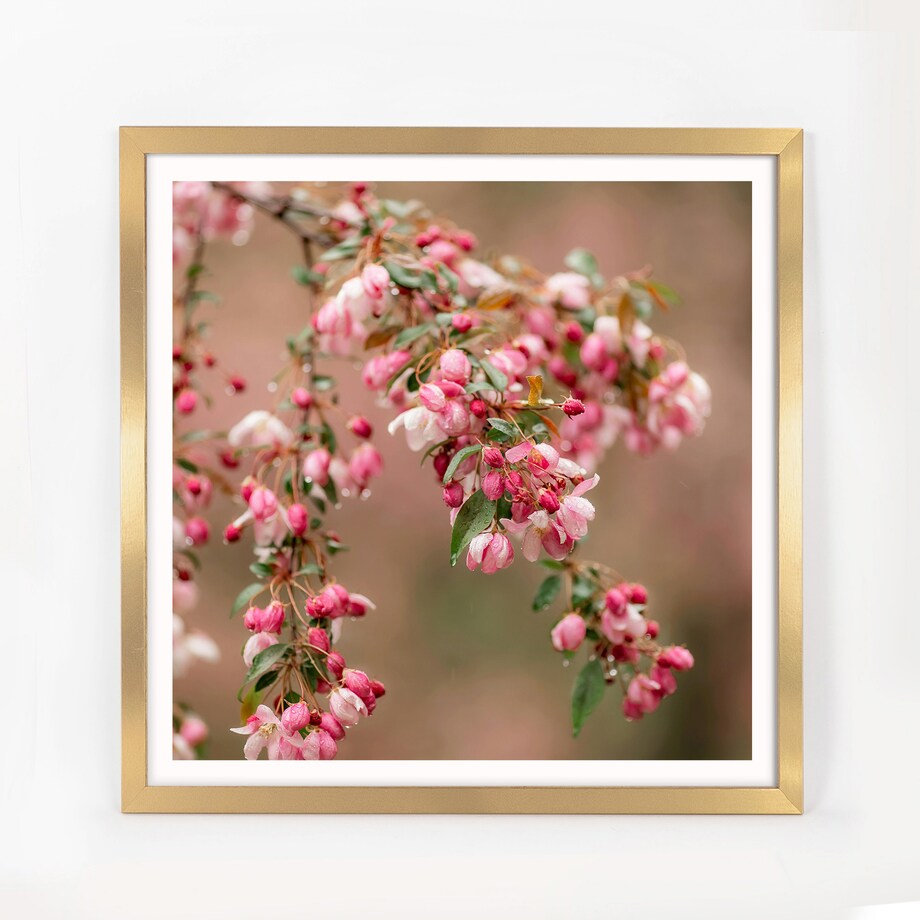 Ramka na zdjęcia 50x50 cm złota rama MDF z plexi do powieszenia pion poziom klasyczna kwadratowa ramka FRAMAI®