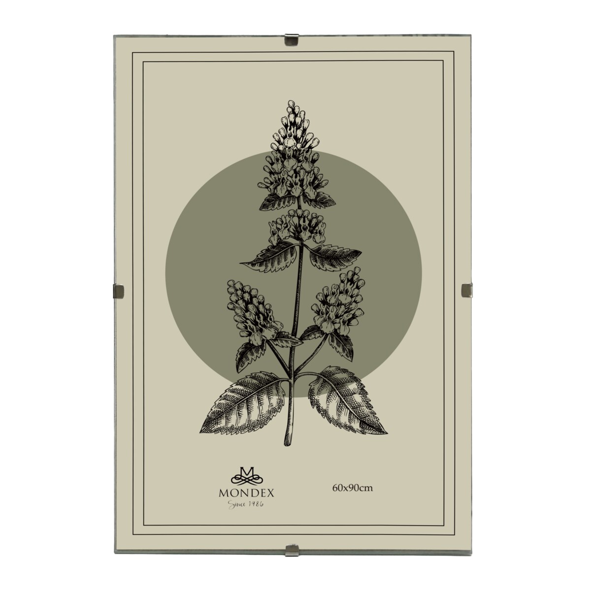 Antyrama ADI 60x90 cm Plexi