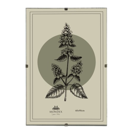 Antyrama ADI 60x90 cm Plexi