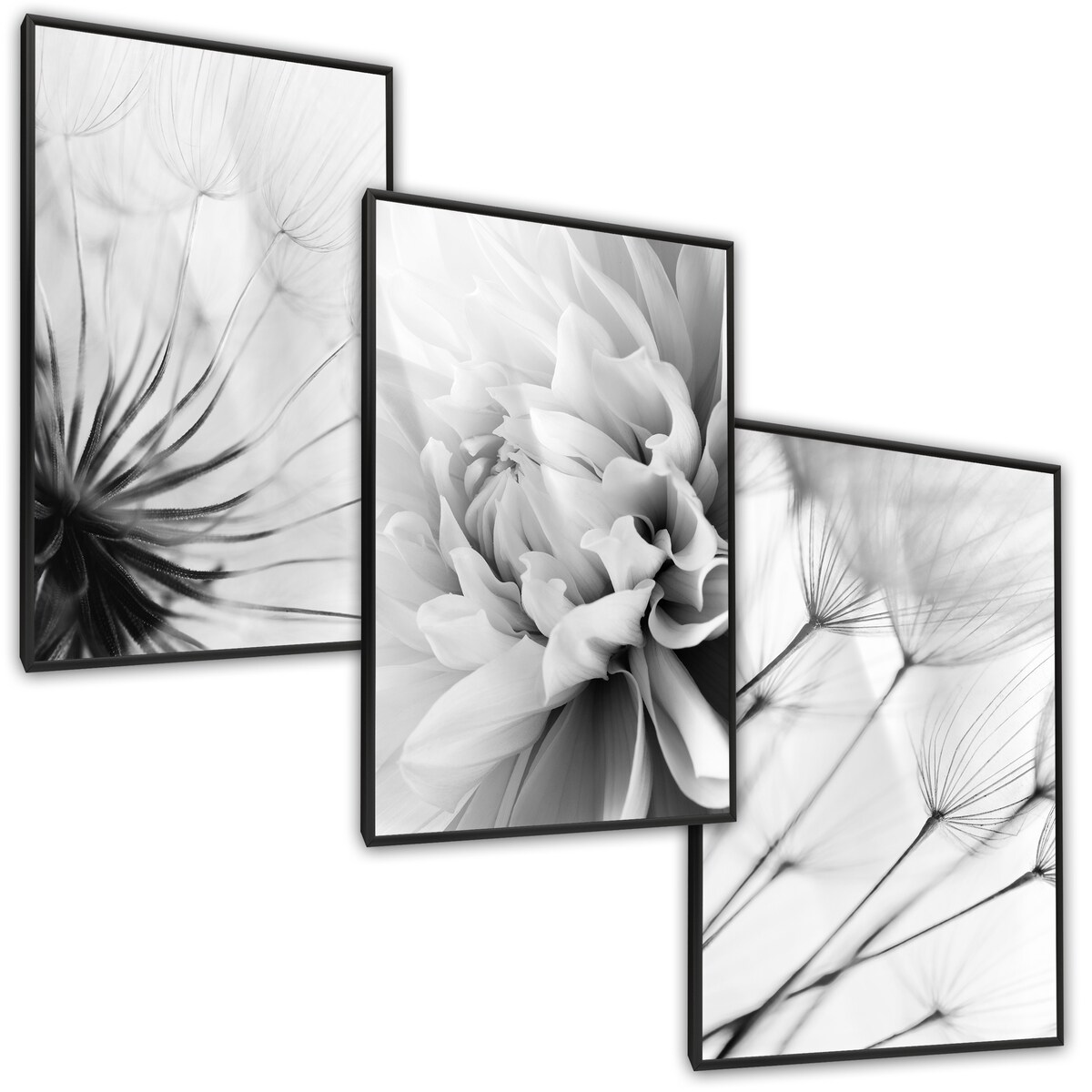 ZESTAW X3 PLAKAT W RAMIE CZARNO-BIAŁE KWIATY DMUCHAWCE DO SYPIALNI 60x80cm
