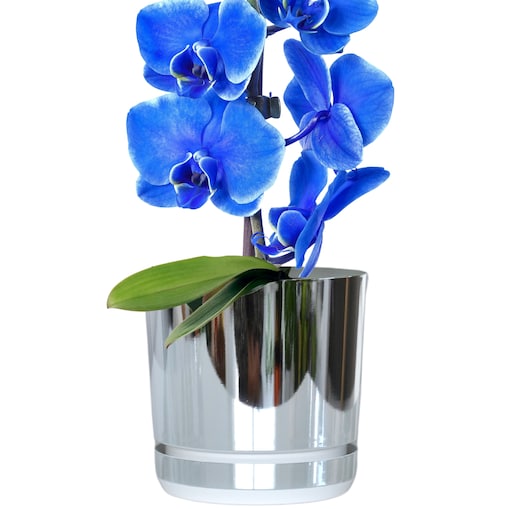 12 cm wzór KRAINA LODU Doniczka z podstawką glamour elegancka efekt lustra wysoki połysk nowoczesna