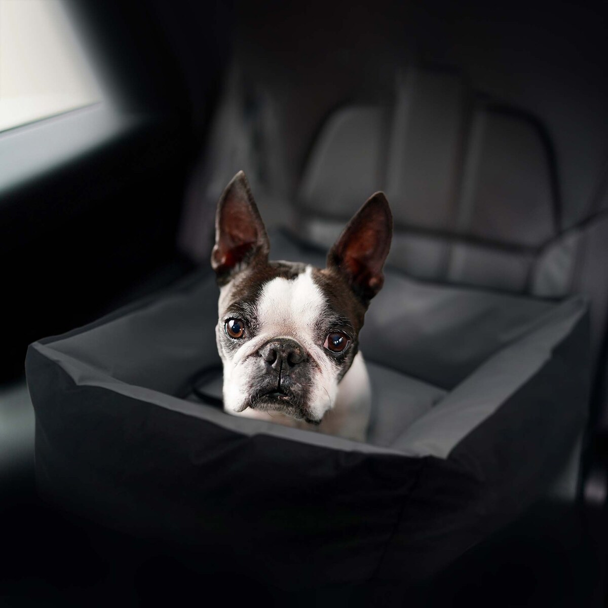 Transporter Dla Psa Fotelik Mata Do Samochodu 55Cm