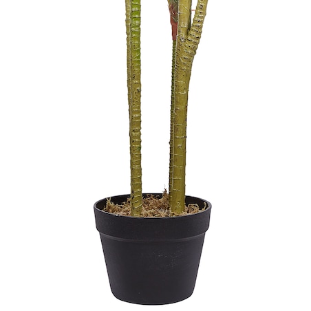 Sztuczna roślina DRACAENA ANITA 147 cm Zielony